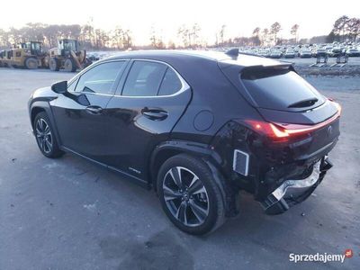 używany Lexus UX 