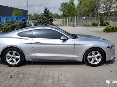 używany Ford Mustang 