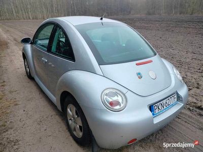 Używany 2004 VW Beetle | 11 900 zł