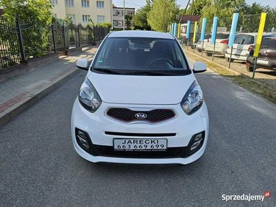 Używany Kia Picanto 86 KM (63 kW) 2015 Biały Hatchback