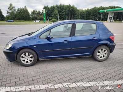 Używany 2004 Peugeot 307 | 6900 zł