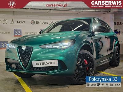 Zielony Nowe 2025 Alfa Romeo Stelvio SUV | 513 890 zł
