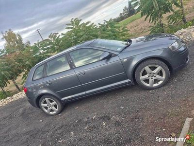 Używany 2005 Audi A3 | 15 000 zł (Uczciwa cena)