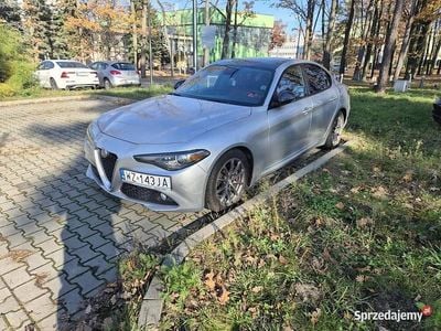 Używany 2019 Alfa Romeo Giulia | 76 000 zł (Drogi)