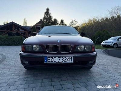 Używany BMW 523 1999 Wiśniowy Kombi