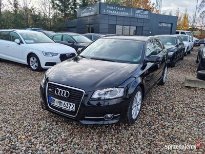 używany Audi A3 1.8 Turbo Ambition Bi Xenon Tempomat