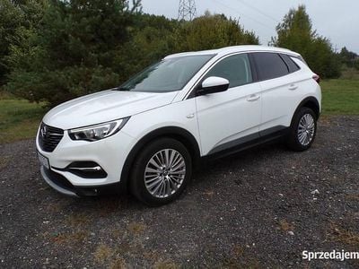 Biały Używany 2019 Opel Grandland X SUV | 63 900 zł (Uczciwa cena)