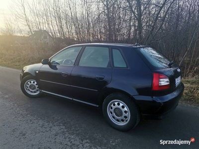 używany Audi A3 1,9 TDI 130 km