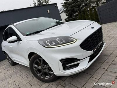 Biały Używany 2021 Ford Kuga ST-Line SUV | 89 999 zł (Dobra cena)