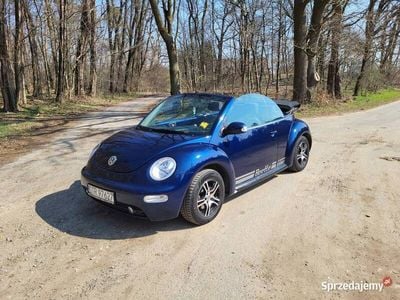 VW Beetle
