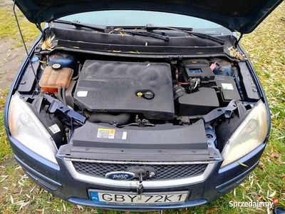 Używany 2005 Ford Focus | 3300 zł (Uczciwa cena)