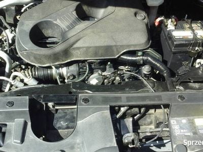 Używany Renault Koleos 2018 SUV