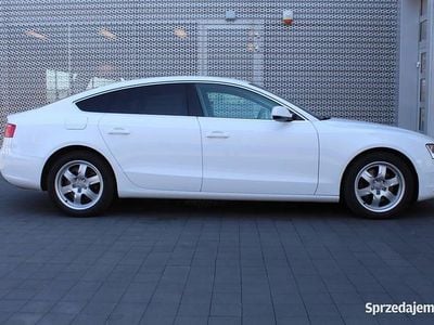 Używany Audi A5 Sportback 2015 Biały Hatchback