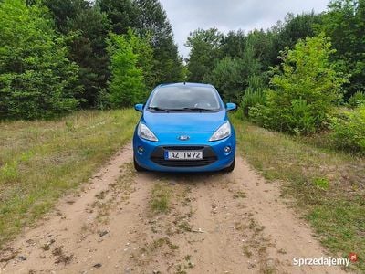 Niebieski Używany 2010 Ford Ka Hatchback | 9500 zł (Uczciwa cena)