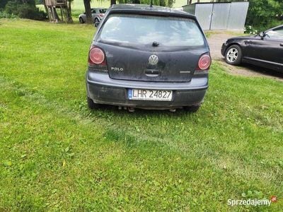 VW Polo