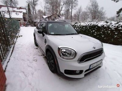 używany Mini Countryman 