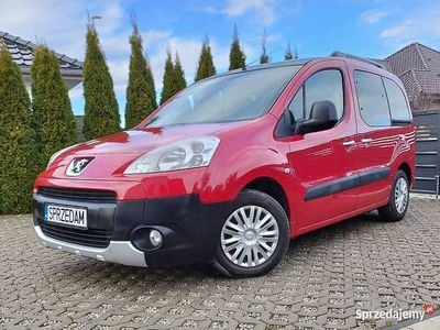 Używany Peugeot Partner Tepee 2010 Minivan