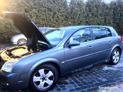 Używany 2004 Opel Signum Hatchback | 4250 zł