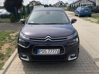 używany Citroën C4 Cactus 