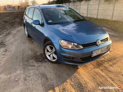 VW Golf VII