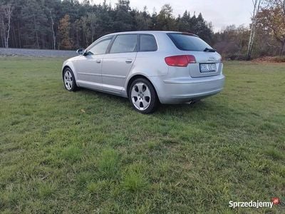Używany 2007 Audi A3 | 11 900 zł (Dobra cena)