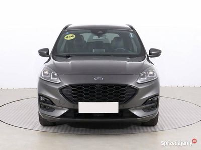 Szary Używany 2020 Ford Kuga SUV | 91 499 zł (Drogi)