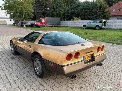 Złoty Używany 1983 Chevrolet Corvette C4 Coupe | 57 500 zł