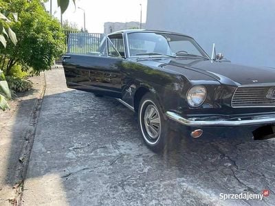 Używany 1966 Ford Mustang | 160 000 zł