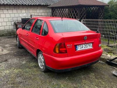 VW Polo