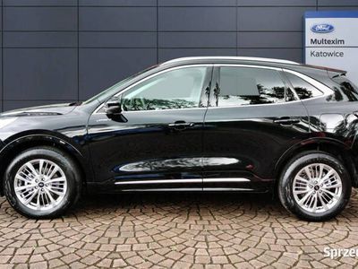 używany Ford Kuga III Vignale 2.0 Ecoblue 190 KM A8 AWD