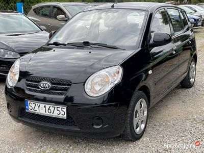 używany Kia Picanto 1.1dm 74KM 2009r. 118 000km