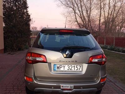 Używany 2010 Renault Koleos SUV | 20 500 zł (Dość drogi)