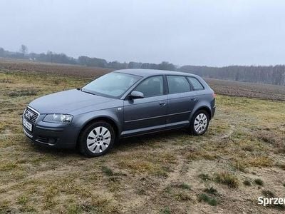 Grafitowy Używany 2005 Audi A3 Hatchback | 16 500 zł (Uczciwa cena)