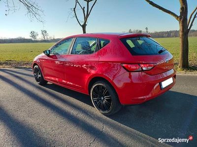 Używany 2013 Seat Leon | 24 990 zł (Dość drogi)