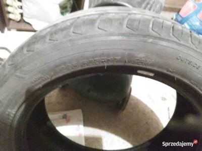 Używany Opel Signum 2004 Hatchback