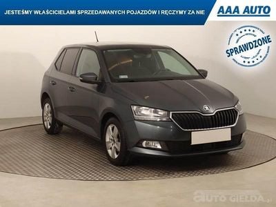 Używany Skoda Fabia 2020 Szary