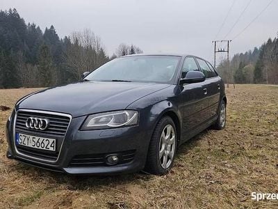 Używany 2010 Audi A3 Ambition | 21 500 zł (Uczciwa cena)