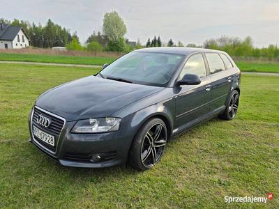 Używany 2009 Audi A3 | 26 500 zł (Drogi)