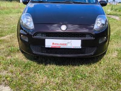 Fiat Punto Evo