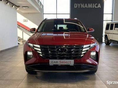 używany Hyundai Tucson Executive 1.6T-GDi mhev 150KM DCT 2021 r., s…