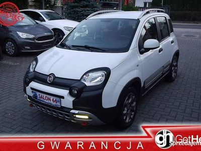 Szary Używany 2020 Fiat Panda Cross Cross Hatchback | 40 800 zł