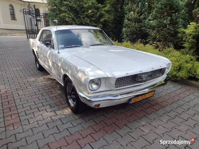 Używany 1966 Ford Mustang Coupe | 119 000 zł