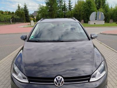 VW Golf VII
