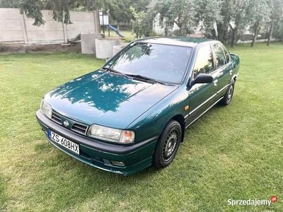Używany 1995 Nissan Primera | 3000 zł