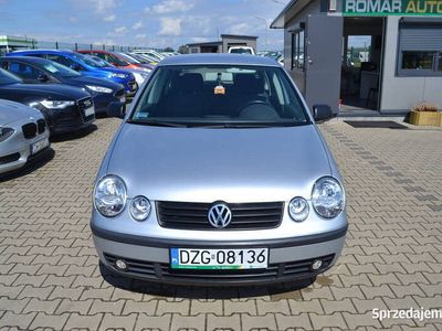 używany VW Polo zarejestrowany (14)