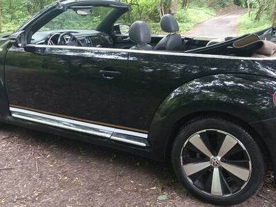 VW Beetle