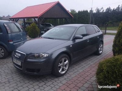 Używany 2005 Audi A3 | 20 800 zł