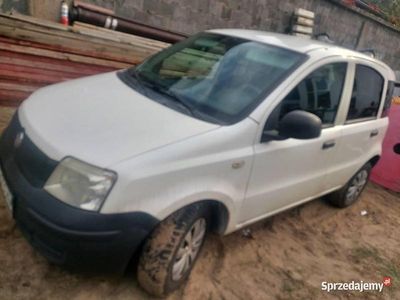 Biały Używany 2010 Fiat Panda Hatchback | 8700 zł