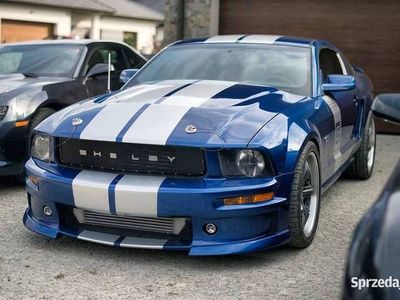 używany Ford Shelby 