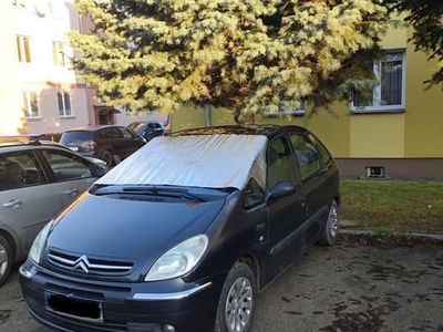 Używany 2006 Citroën Xsara Picasso Minivan | 2500 zł (Uczciwa cena)